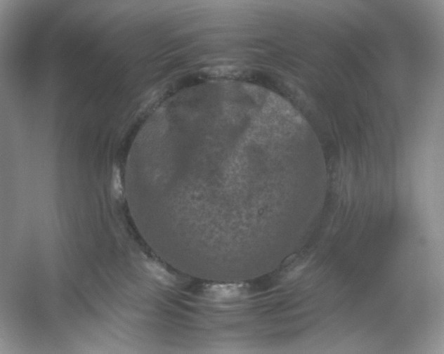 X0000053130089200507251800