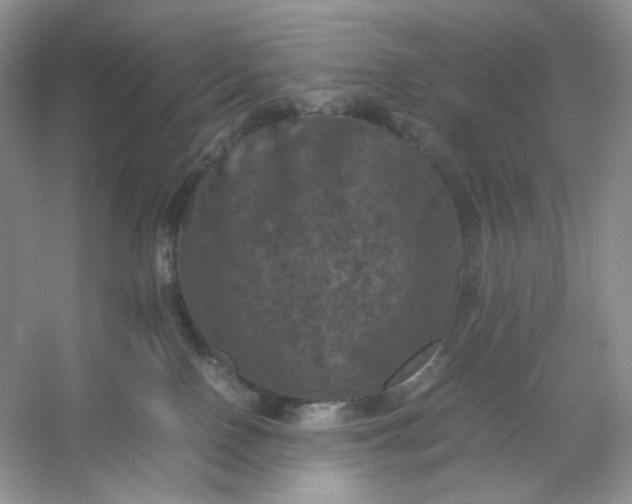 X0000053130090200507251800