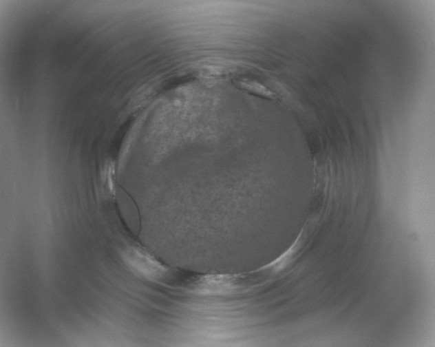 X0000053130094200507251800