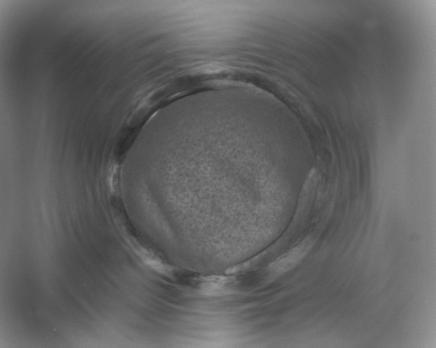 X0000053130096200507251800