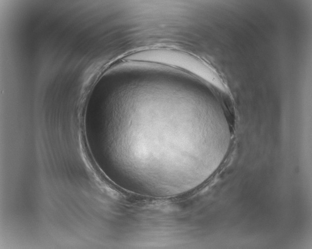 X0000053130097200507251800