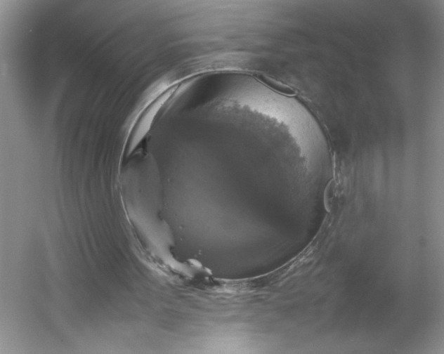 X0000053130099200507251800