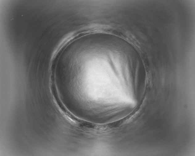X0000053130101200507251800