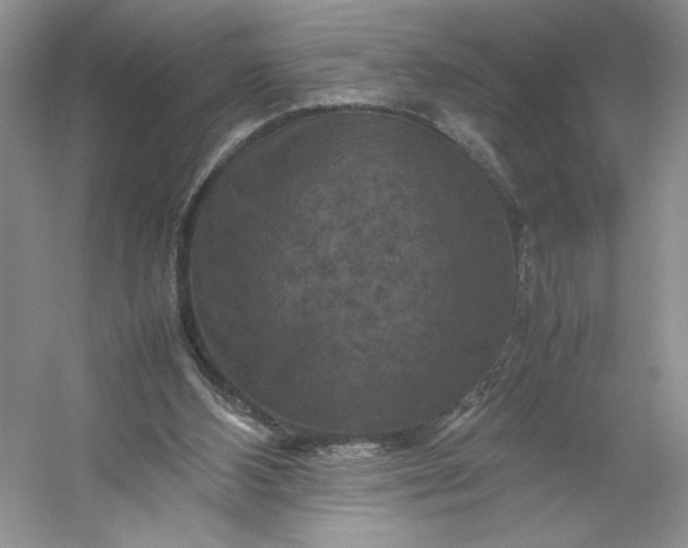 X0000053130108200507251759