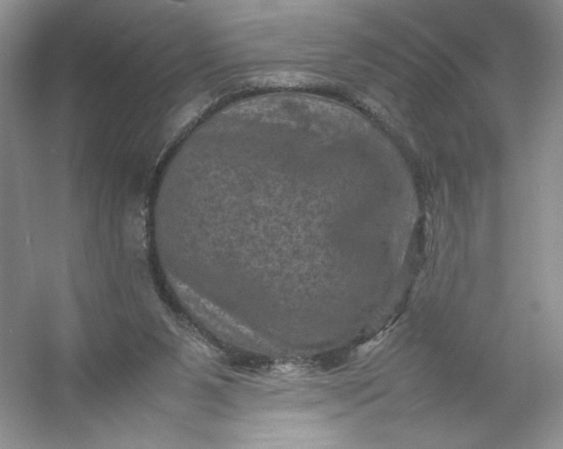 X0000053130111200507251759