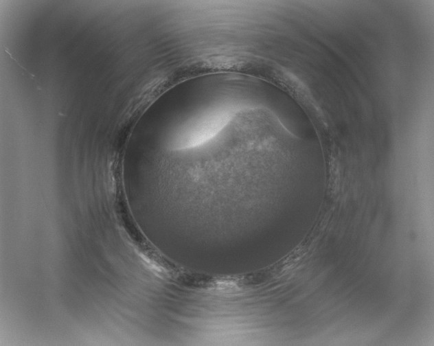 X0000053130114200507251759