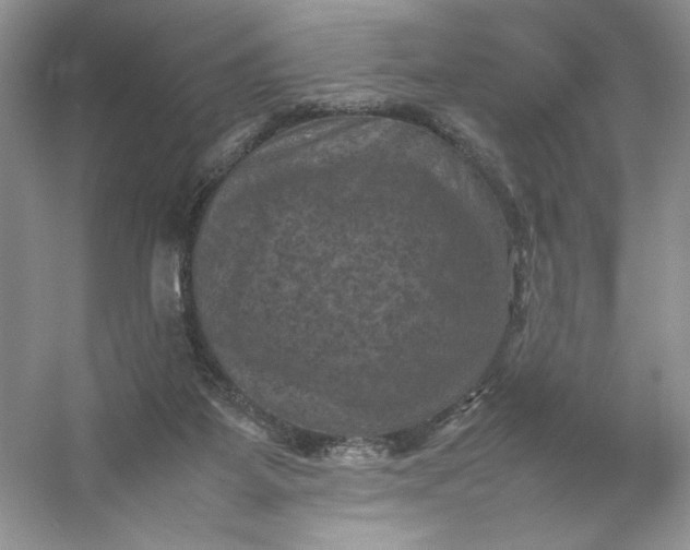 X0000053130115200507251759