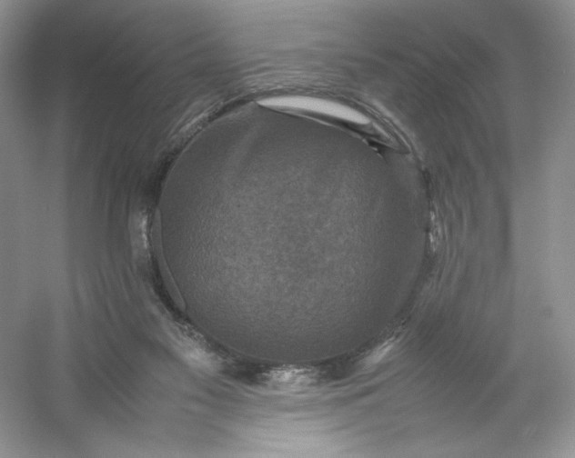 X0000053130117200507251759
