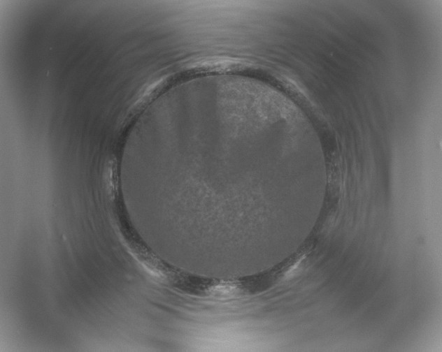 X0000053130119200507251759