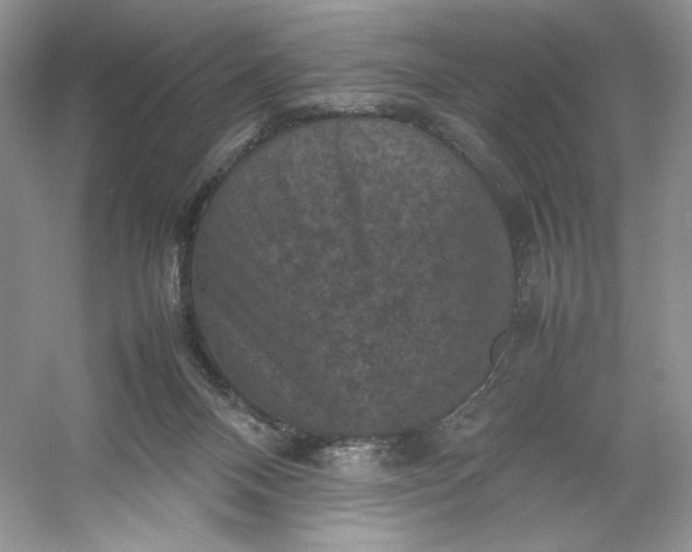 X0000053130120200507251759