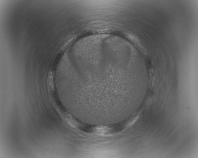 X0000053130121200507251759