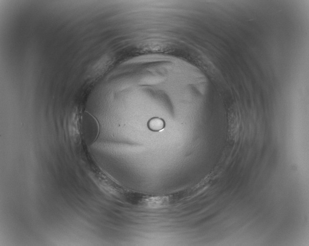 X0000053130126200507251759