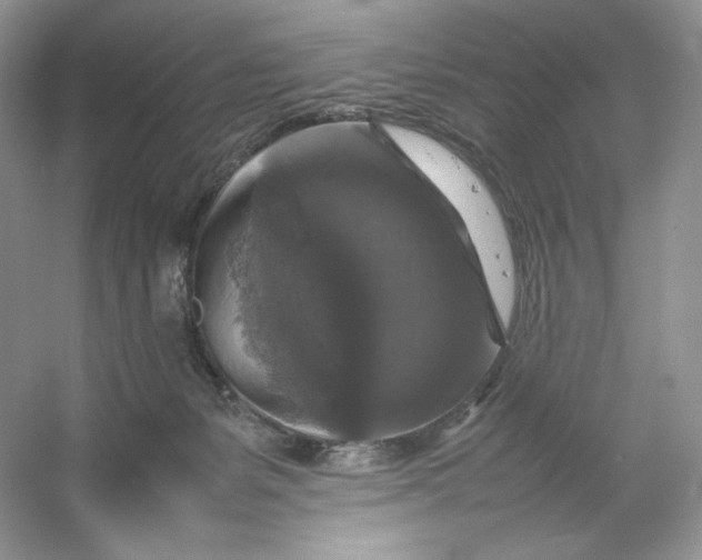X0000053130127200507251759