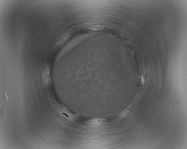 X0000053130128200507251759