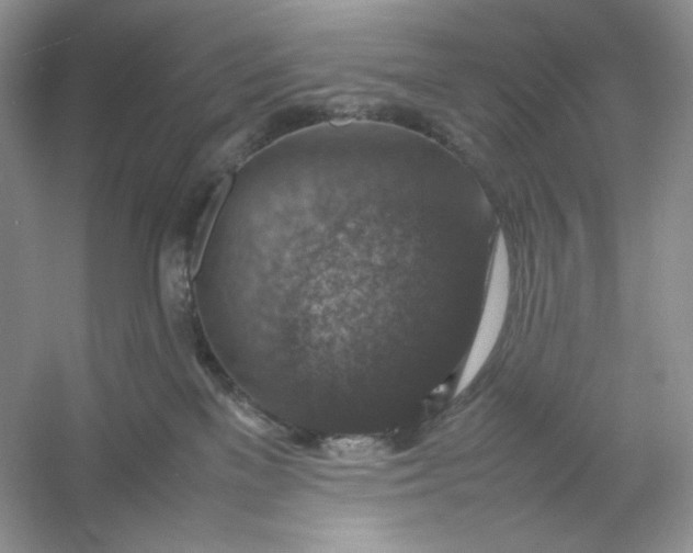 X0000053130137200507251759
