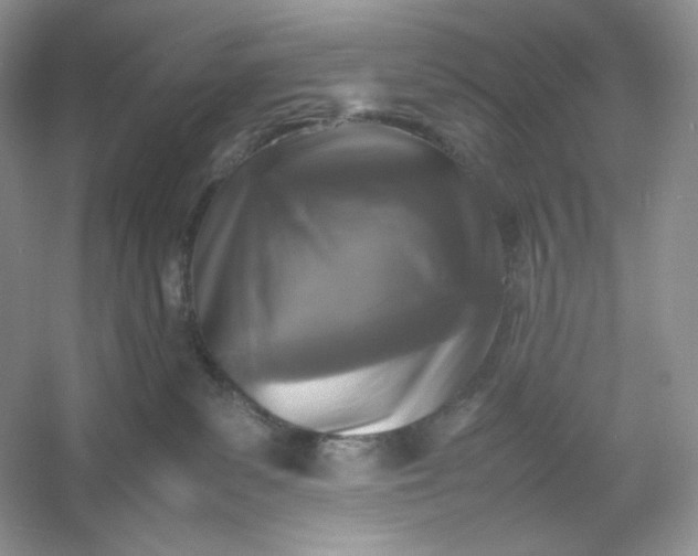 X0000053130139200507251759