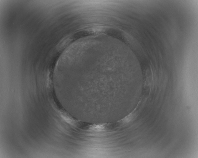 X0000053130140200507251759