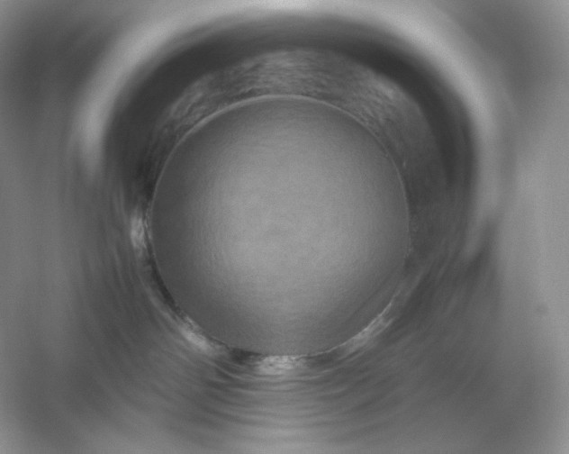 X0000053130142200507251759