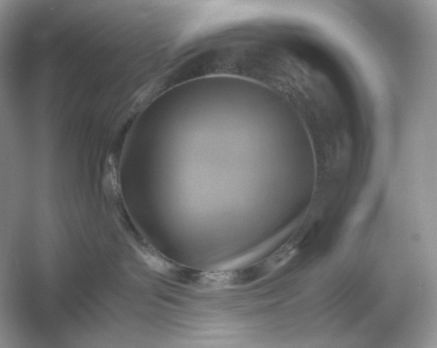 X0000053130143200507251759