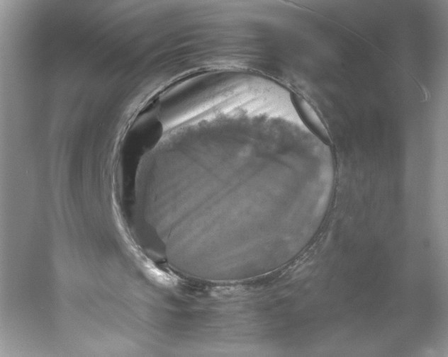 X0000053130145200507251758
