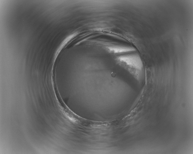 X0000053130147200507251758