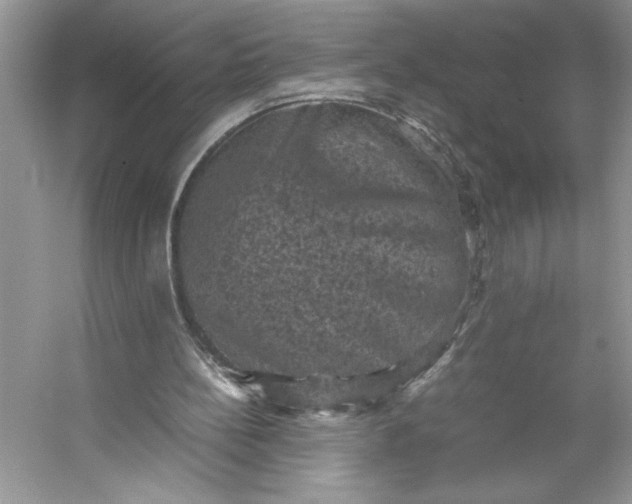 X0000053130148200507251758