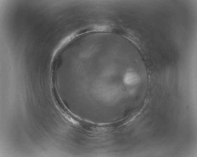 X0000053130149200507251758