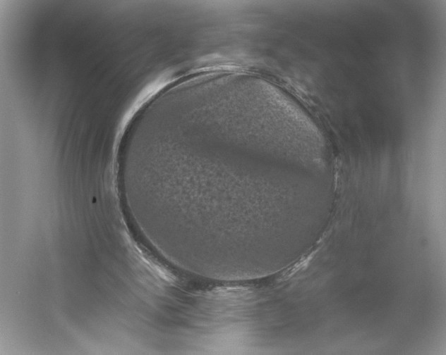 X0000053130150200507251758