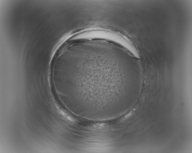 X0000053130152200507251758