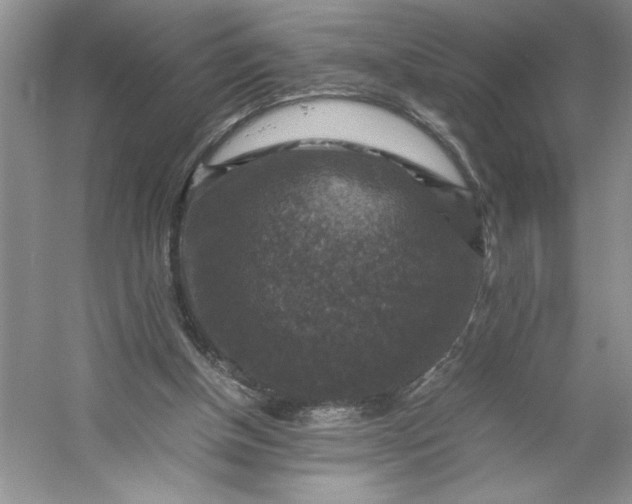 X0000053130154200507251758