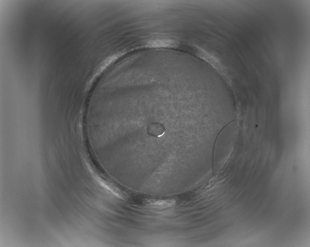 X0000053130155200507251758
