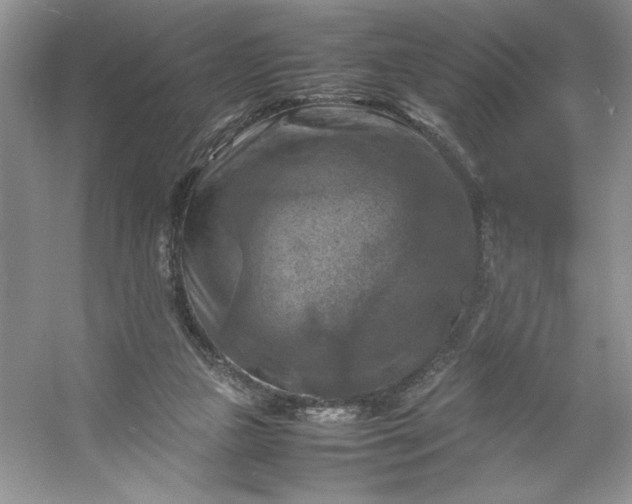 X0000053130161200507251758