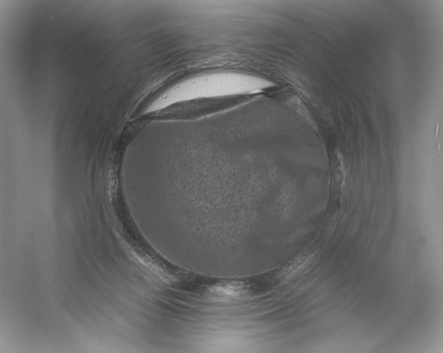 X0000053130164200507251758