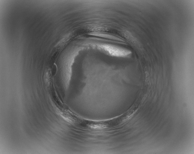 X0000053130165200507251758