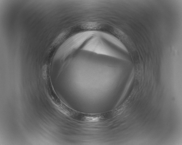 X0000053130167200507251758