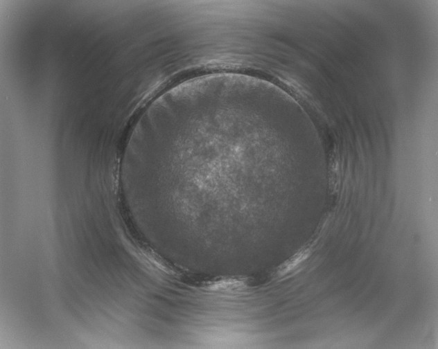 X0000053130168200507251758