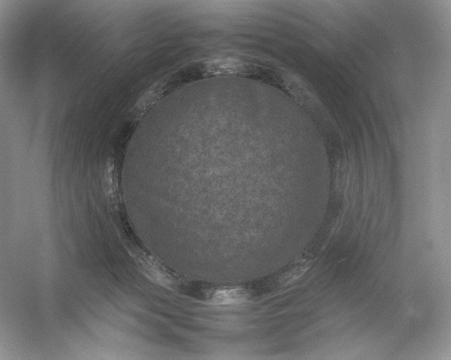 X0000053130173200507251759
