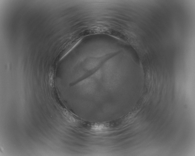 X0000053130177200507251759
