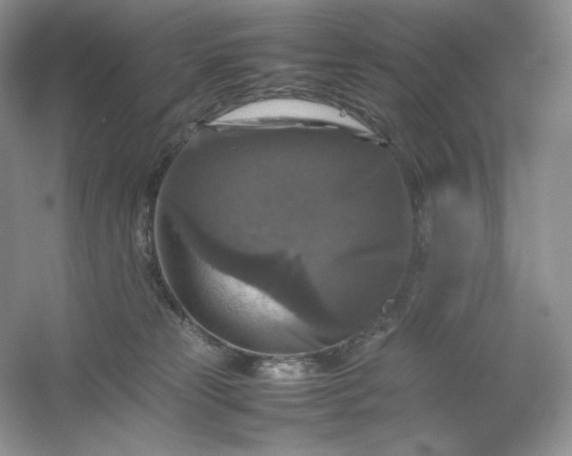 X0000053130181200507251759