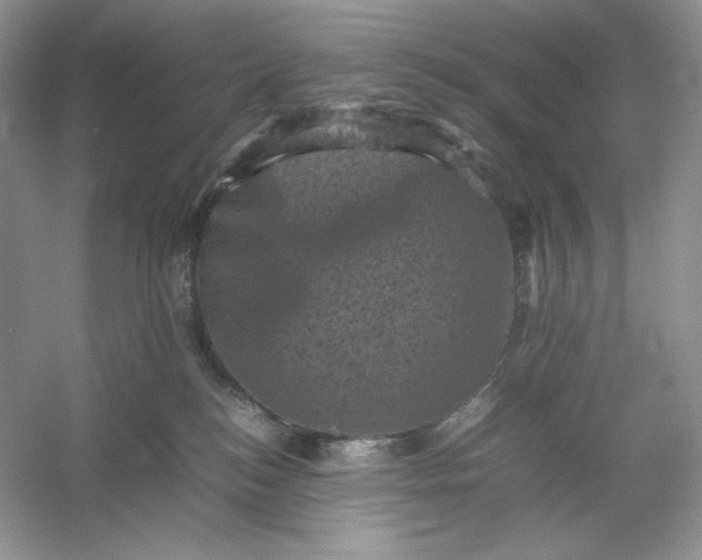 X0000053130184200507251759
