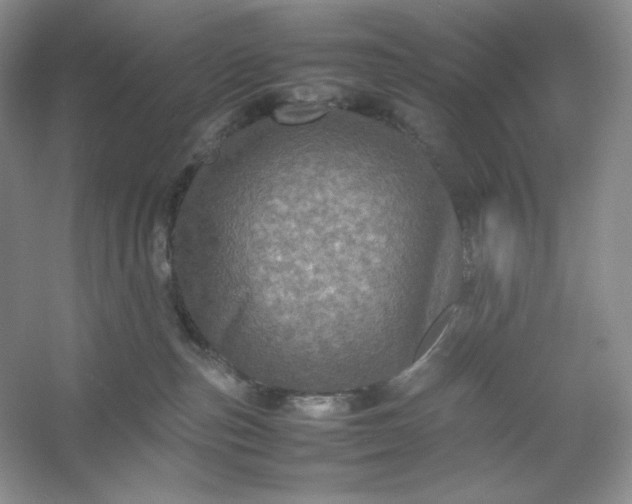 X0000053130187200507251759