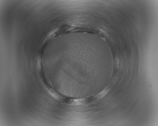 X0000053130188200507251759