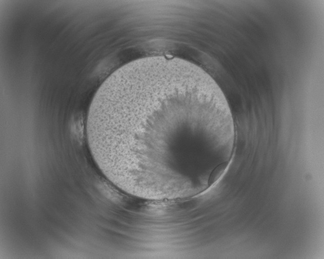 X0000053130190200507251759