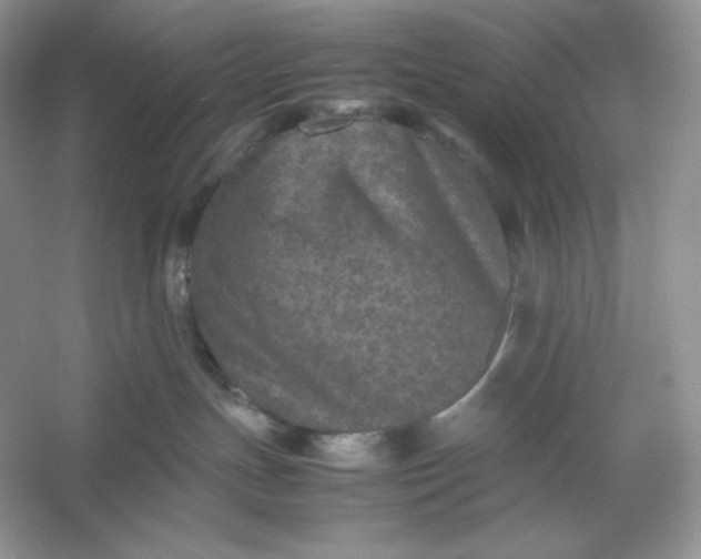 X0000053130191200507251759