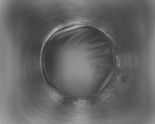 X0000053130196200507251758