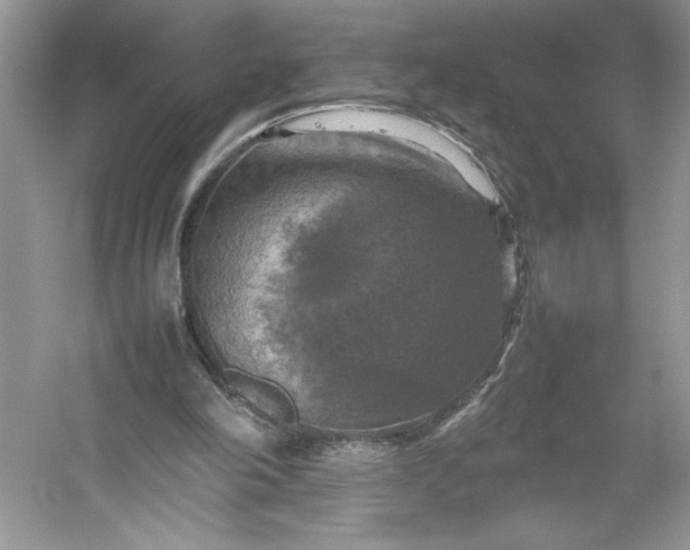 X0000053130198200507251758