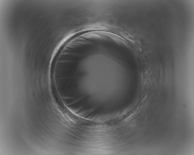 X0000053130200200507251758