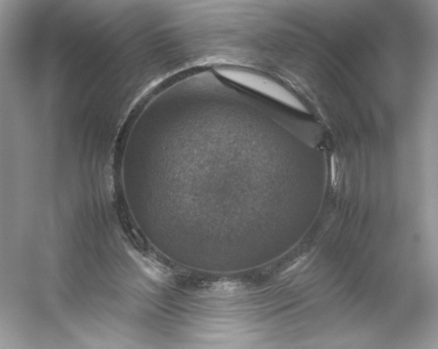 X0000053130204200507251758