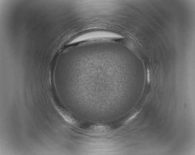 X0000053130205200507251758