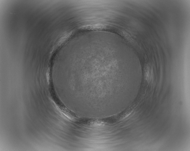 X0000053130206200507251758